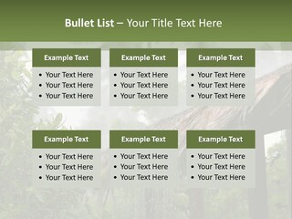 A House With A Thatched Roof In The Jungle PowerPoint Template