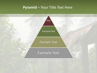 A House With A Thatched Roof In The Jungle PowerPoint Template