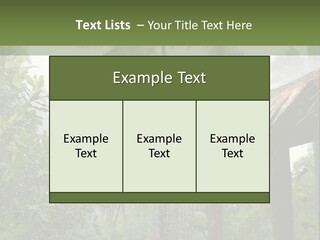 A House With A Thatched Roof In The Jungle PowerPoint Template