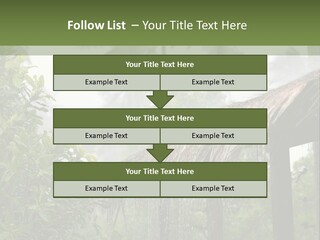 A House With A Thatched Roof In The Jungle PowerPoint Template