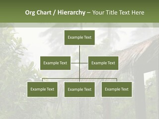 A House With A Thatched Roof In The Jungle PowerPoint Template