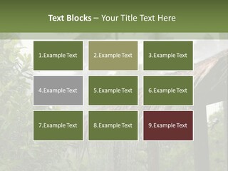 A House With A Thatched Roof In The Jungle PowerPoint Template