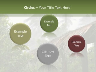 A House With A Thatched Roof In The Jungle PowerPoint Template