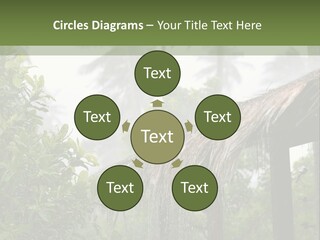 A House With A Thatched Roof In The Jungle PowerPoint Template