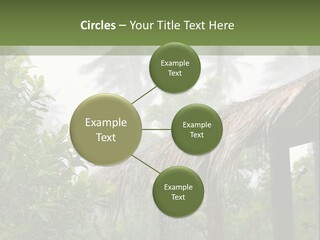 A House With A Thatched Roof In The Jungle PowerPoint Template