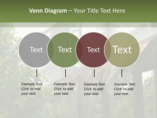 A House With A Thatched Roof In The Jungle PowerPoint Template