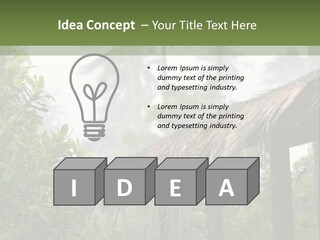 A House With A Thatched Roof In The Jungle PowerPoint Template