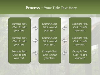 A House With A Thatched Roof In The Jungle PowerPoint Template