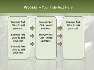 A House With A Thatched Roof In The Jungle PowerPoint Template