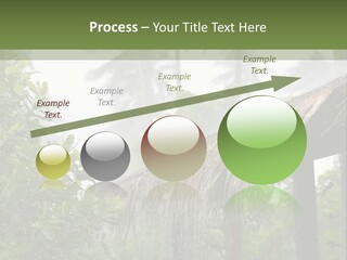 A House With A Thatched Roof In The Jungle PowerPoint Template