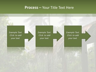 A House With A Thatched Roof In The Jungle PowerPoint Template