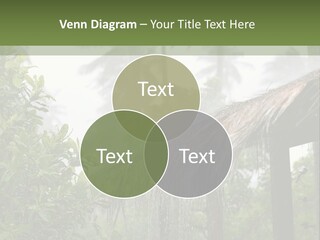 A House With A Thatched Roof In The Jungle PowerPoint Template