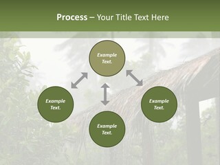 A House With A Thatched Roof In The Jungle PowerPoint Template