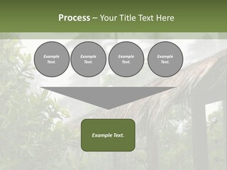 A House With A Thatched Roof In The Jungle PowerPoint Template