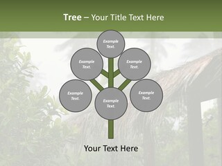 A House With A Thatched Roof In The Jungle PowerPoint Template