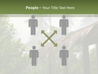 A House With A Thatched Roof In The Jungle PowerPoint Template