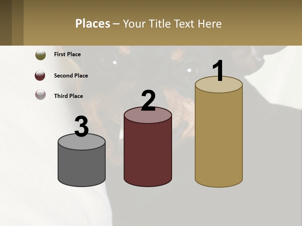 An Evil Dog PowerPoint Template