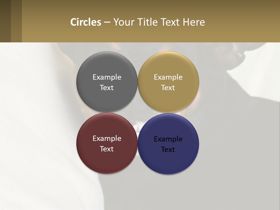 An Evil Dog PowerPoint Template