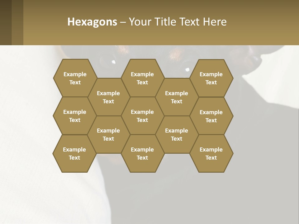 An Evil Dog PowerPoint Template