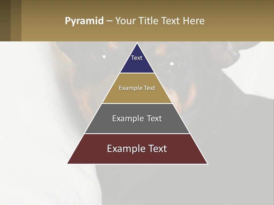 An Evil Dog PowerPoint Template