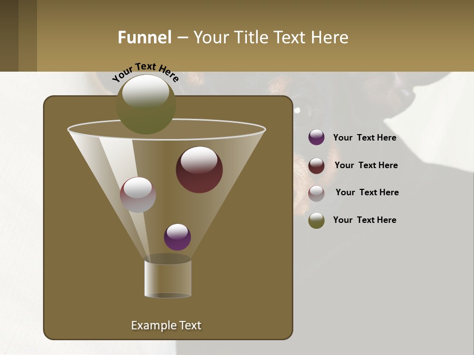 An Evil Dog PowerPoint Template