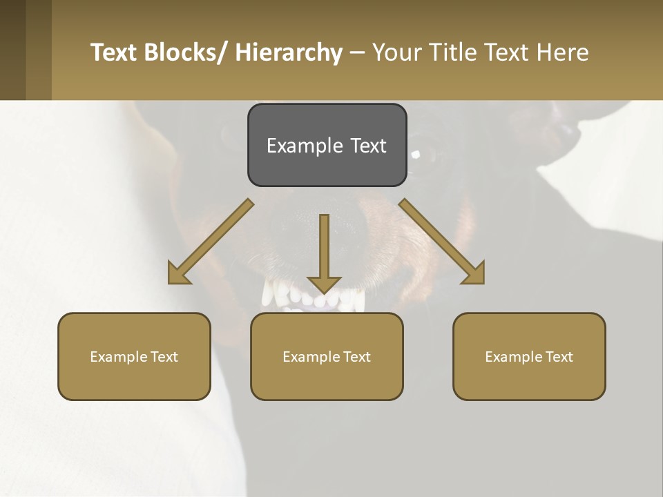 An Evil Dog PowerPoint Template