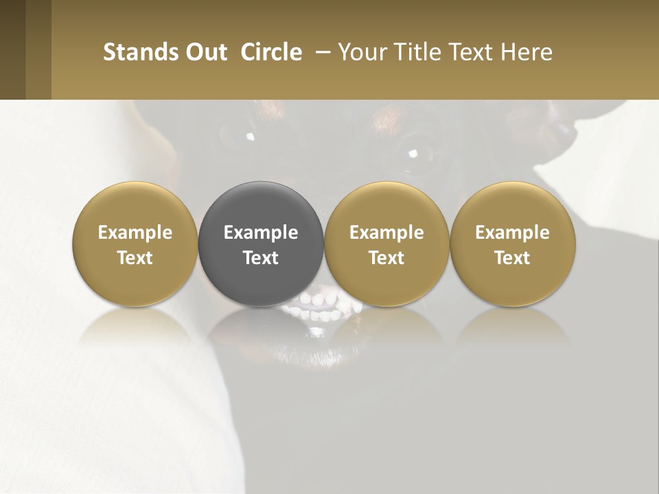 An Evil Dog PowerPoint Template