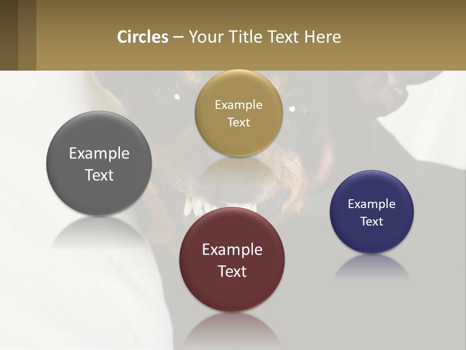 An Evil Dog PowerPoint Template