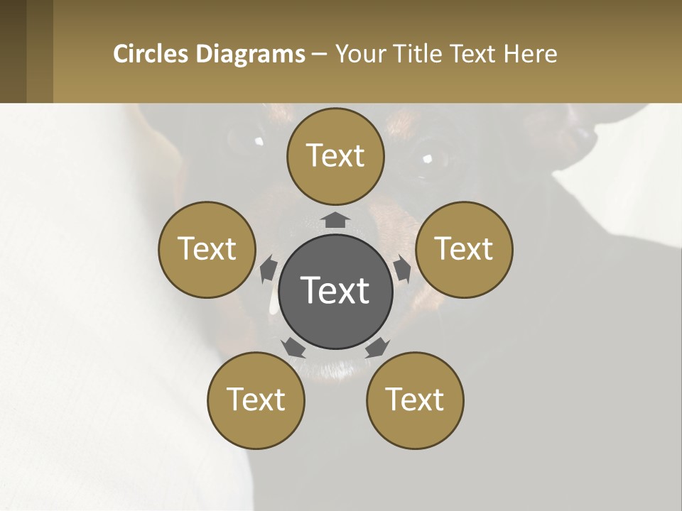 An Evil Dog PowerPoint Template