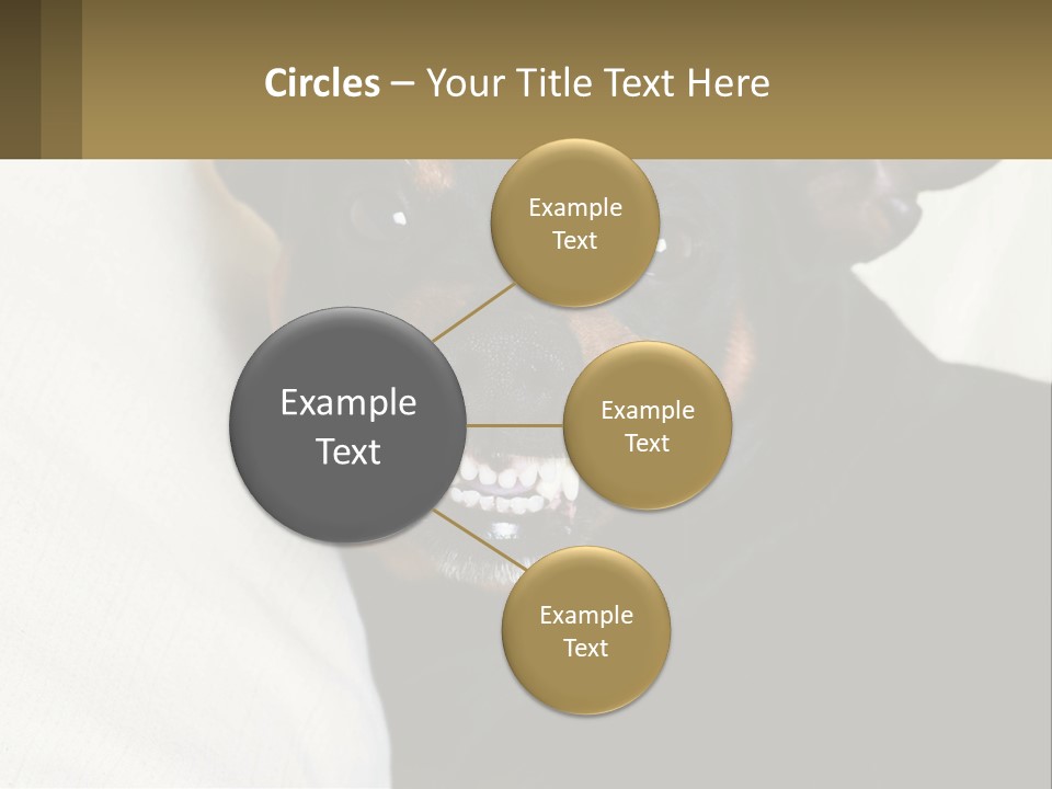 An Evil Dog PowerPoint Template