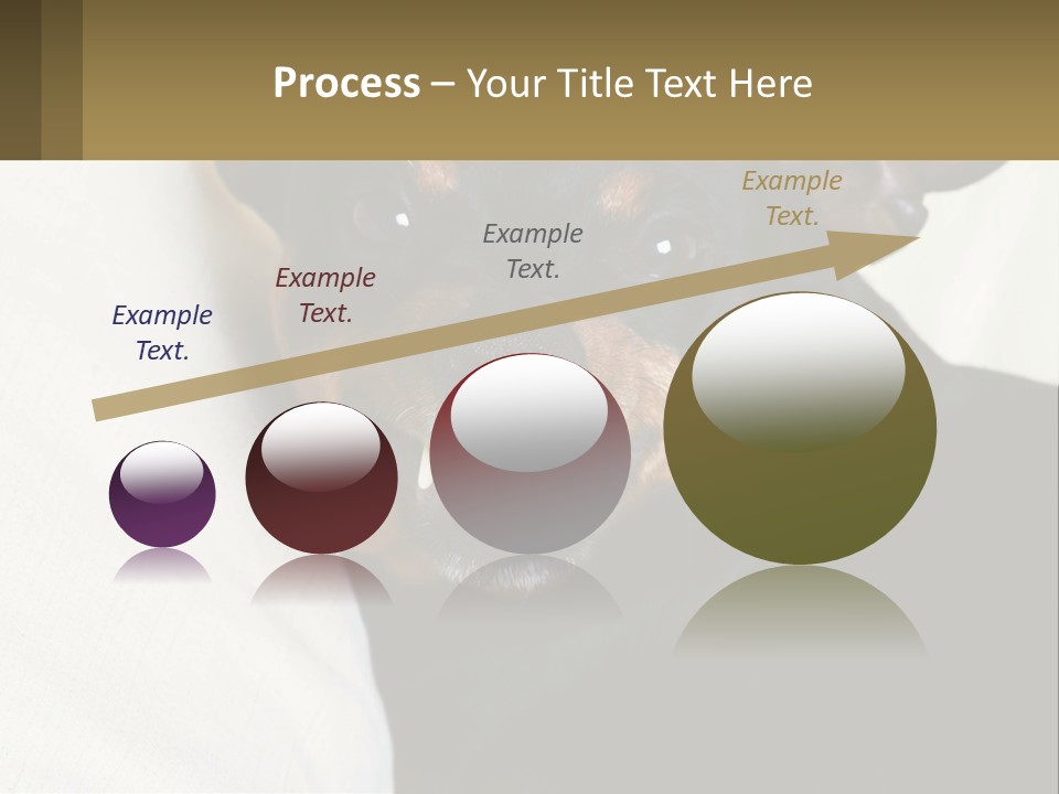 An Evil Dog PowerPoint Template