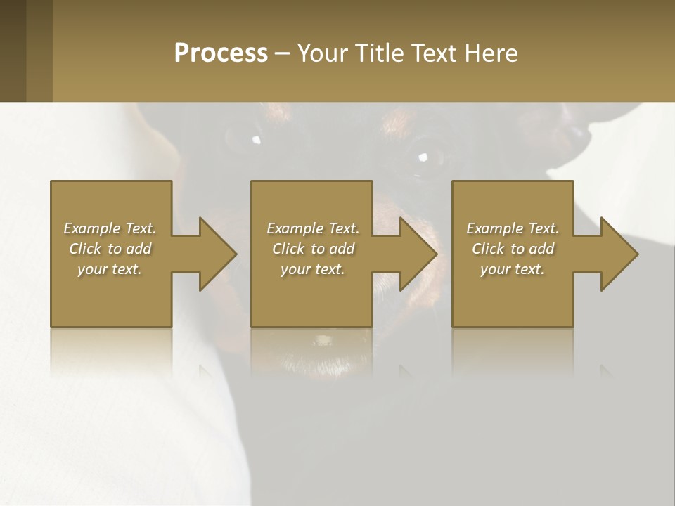 An Evil Dog PowerPoint Template