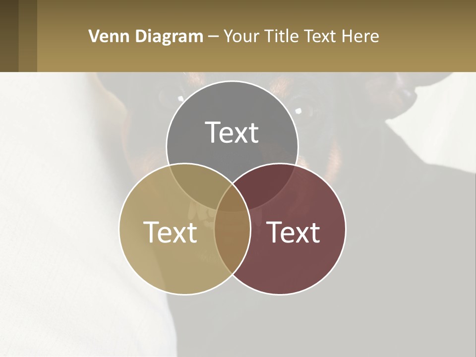 An Evil Dog PowerPoint Template