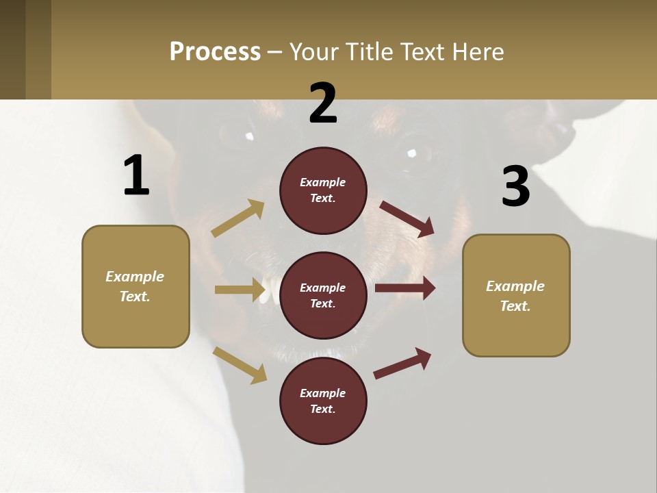 An Evil Dog PowerPoint Template