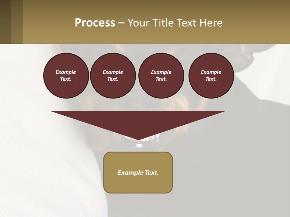 An Evil Dog PowerPoint Template