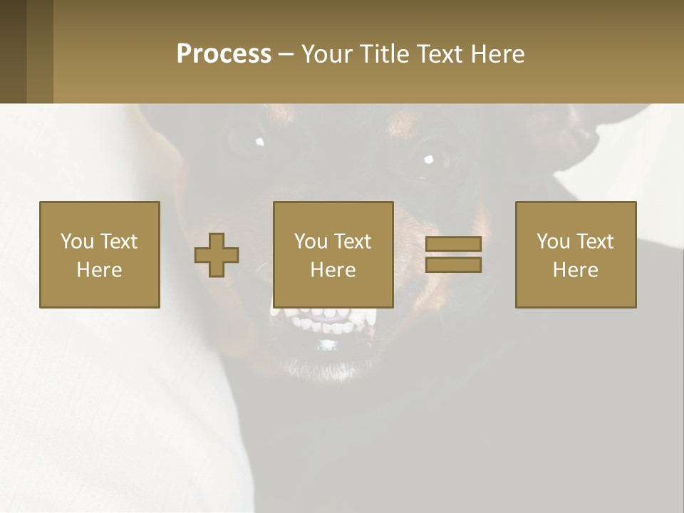 An Evil Dog PowerPoint Template