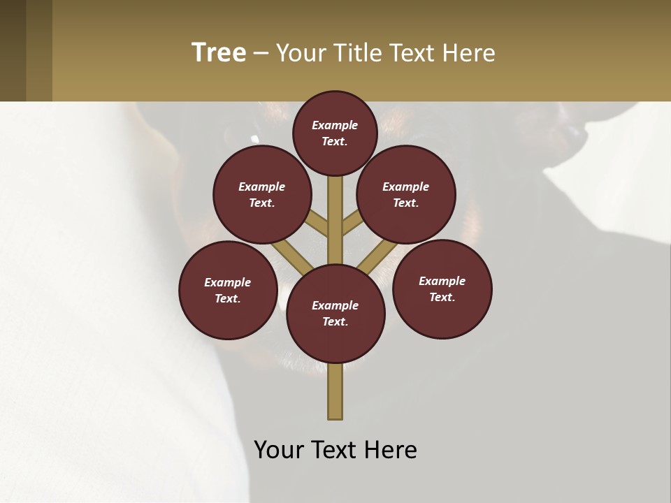 An Evil Dog PowerPoint Template