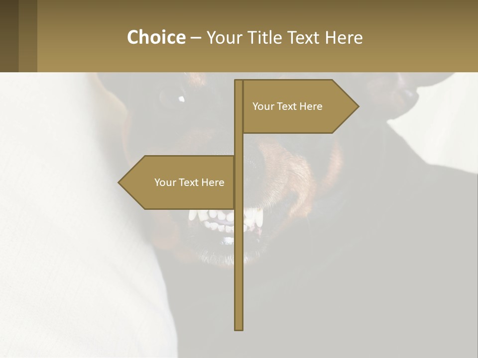 An Evil Dog PowerPoint Template