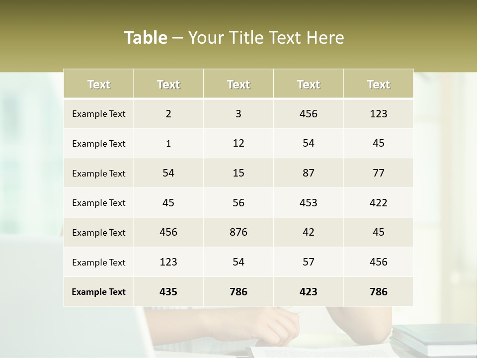 The Girl At The Laptop PowerPoint Template