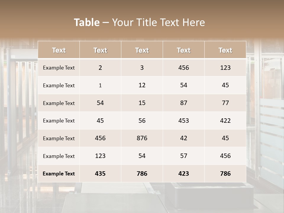 Customs PowerPoint Template