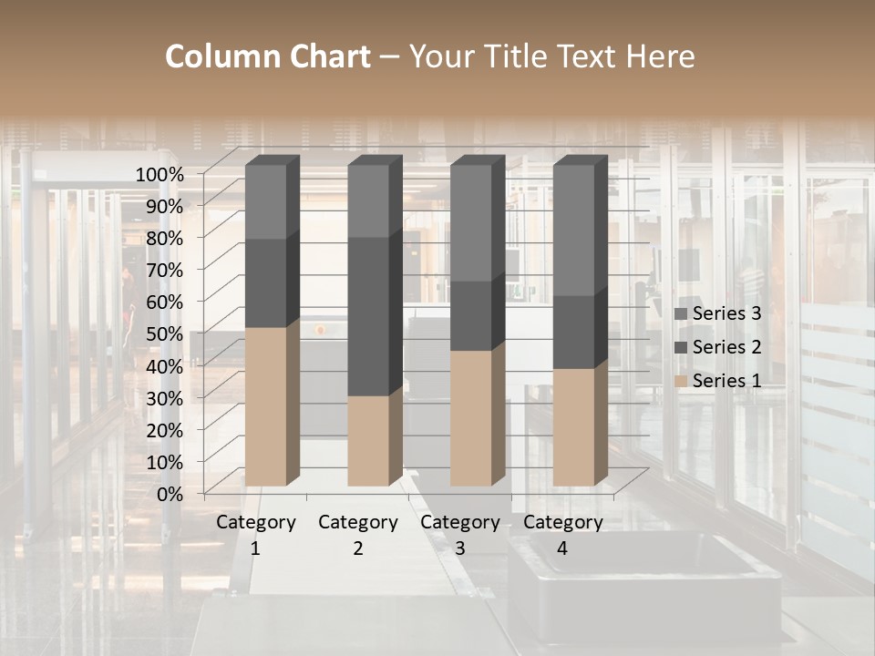 Customs PowerPoint Template