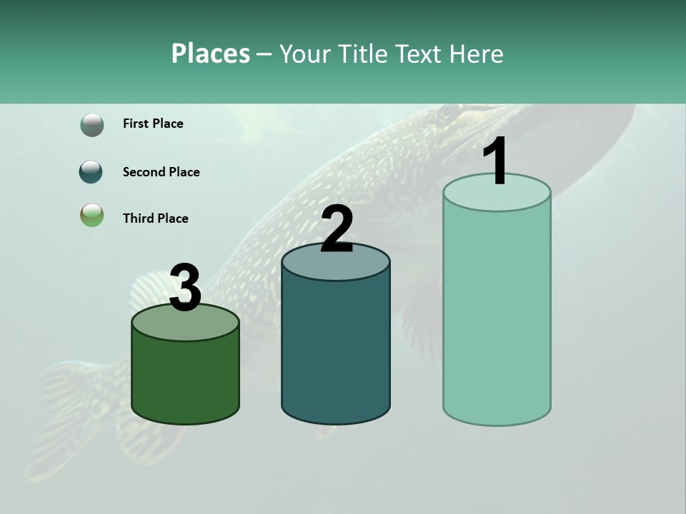 Catfish PowerPoint Template