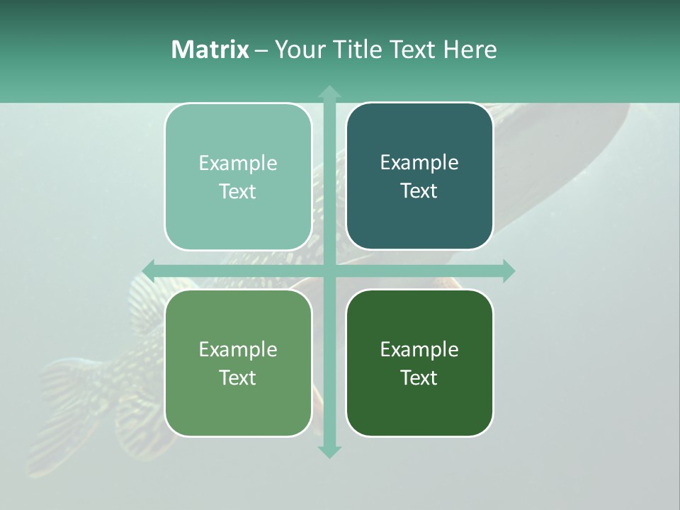 Catfish PowerPoint Template