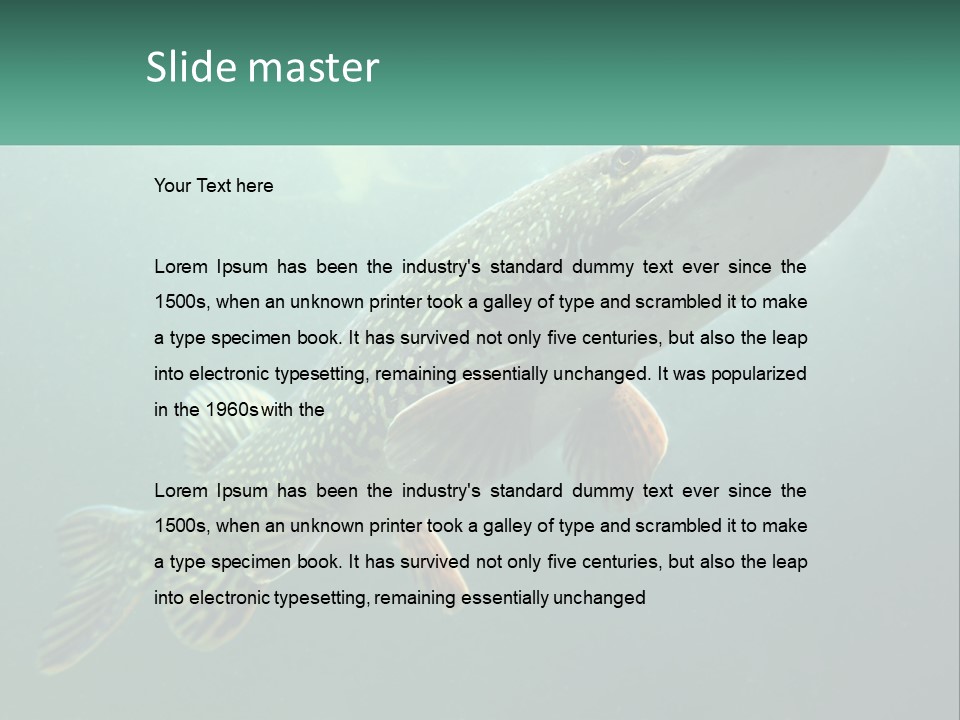 Catfish PowerPoint Template