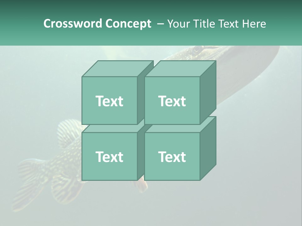 Catfish PowerPoint Template
