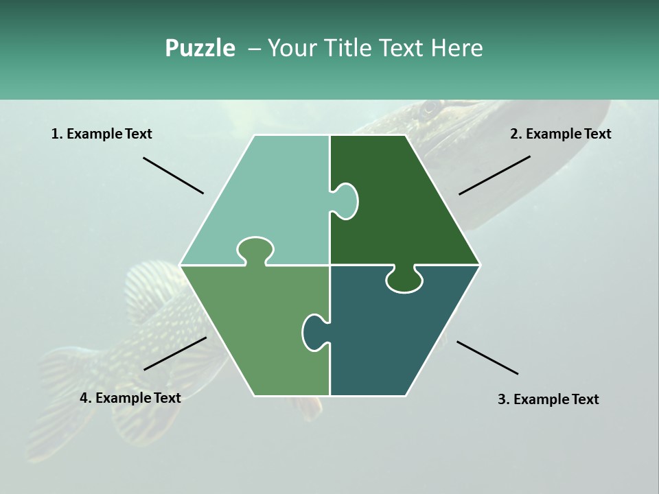 Catfish PowerPoint Template