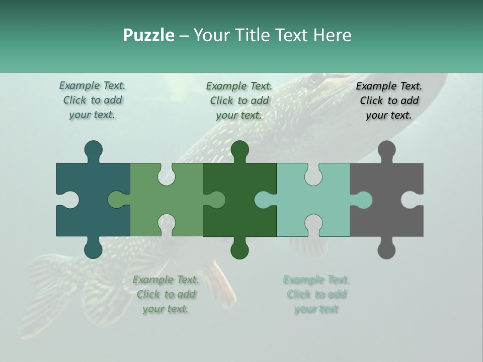 Catfish PowerPoint Template