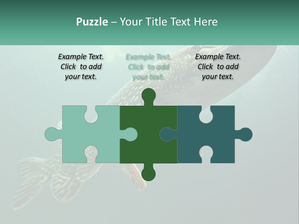 Catfish PowerPoint Template