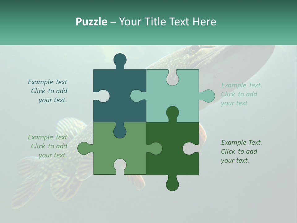 Catfish PowerPoint Template