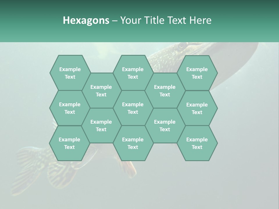 Catfish PowerPoint Template